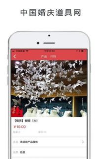 红蛛网app